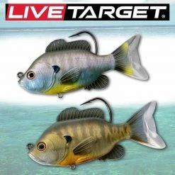 Live Target LIVETARGET 3.5in Sunfish 1/2 OZ Swimbait