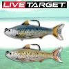 Live Target Soft Plastic Baits LIVETARGET 4in Common Shiner 3/4OZ Swimbait