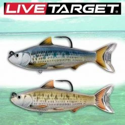 Live Target Soft Plastic Baits LIVETARGET 4in Common Shiner 3/4OZ Swimbait