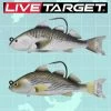 Live Target LIVETARGET 4in Croaker 1OZ Swimbait Soft Plastic Baits