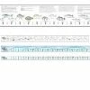 Capt. Harry's Fishing Supply FS50BB Boat Decal Ruler Blue Thin Marine, Boating & Outdoor