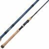 Capt. Harry's Fishing Supply Rods Fenwick Elite Inshore Spinning Rod