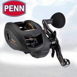 Penn Fishing Tackle Penn Squall Low Profile Baitcasting Reel