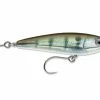 Rapala SXRSB09 X-Rap Saltwater Subwalk