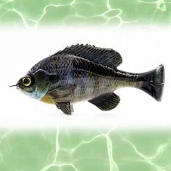 Lures Savage Gear Loose Body Pulse Tail BlueGil Lure 4in