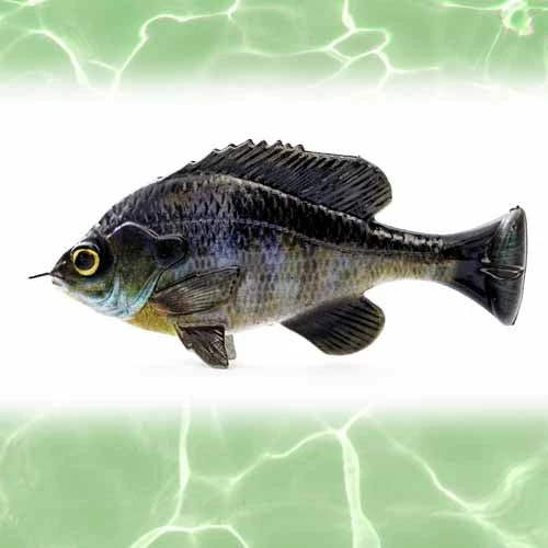 Lures Savage Gear Loose Body Pulse Tail BlueGil Lure 4in