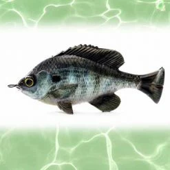 Lures Savage Gear Loose Body Pulse Tail BlueGil Lure 4in