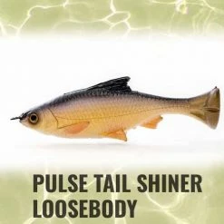 Savage Gear Loose Body Pulse Tail Shiner Lure 4in Lures