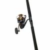Daiwa New BG Saltwater Spinning Rod And Reel Combos Rod & Reel Combo's