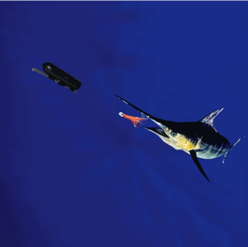 GoFish Cam Wireless Underwater Fishing Camera