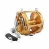 Penn Fishing Tackle Penn International VIS 2-Speed Reels