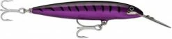 Rapala CDMAG14 Countdown Magnum Plug