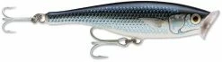 Rapala SSP12 Saltwater Skitter Pop