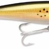 Rapala SXR08 X-Rap Plug Lures