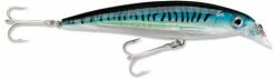 Lures Rapala SXR14 X-Rap Plug