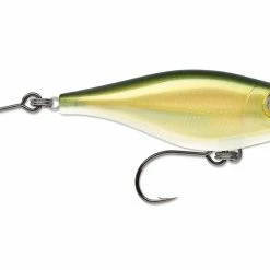 Rapala Twitchin Mullet Plug SXRTM06 2-1/2